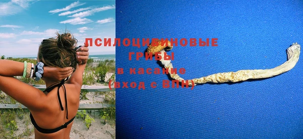 mix Пересвет